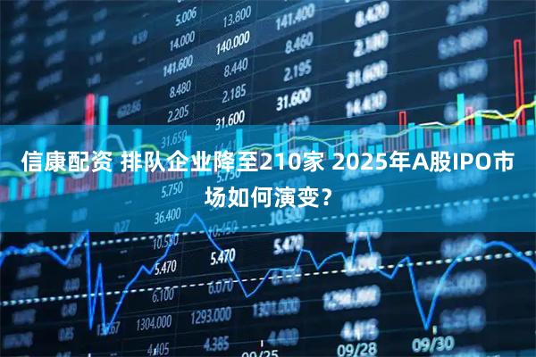 信康配资 排队企业降至210家 2025年A股IPO市场如何演变？