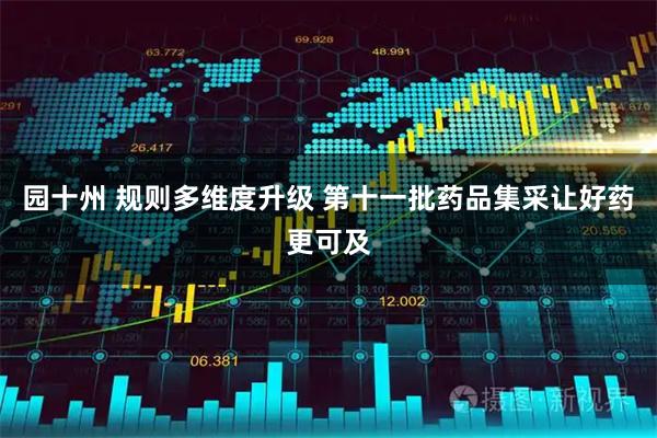 园十州 规则多维度升级 第十一批药品集采让好药更可及