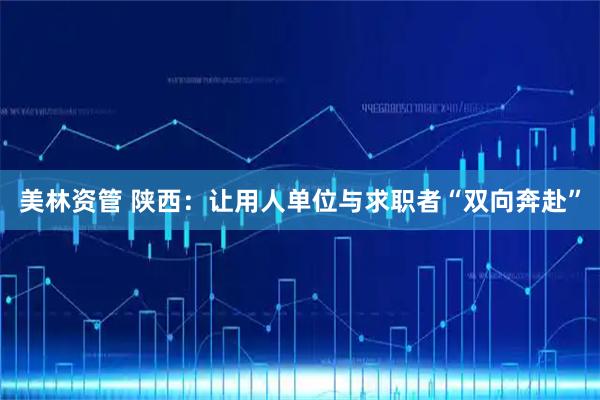 美林资管 陕西：让用人单位与求职者“双向奔赴”