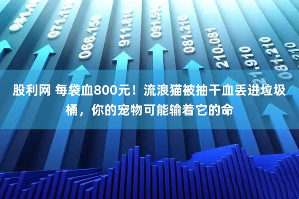 股利网 每袋血800元！流浪猫被抽干血丢进垃圾桶，你的宠物可能输着它的命