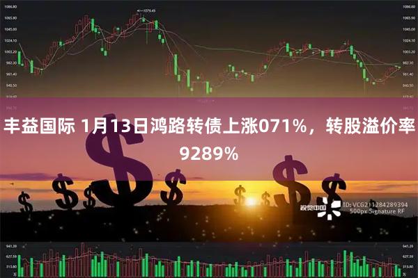 丰益国际 1月13日鸿路转债上涨071%，转股溢价率9289%