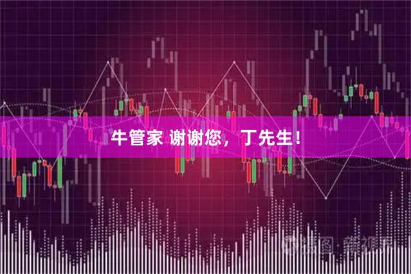 牛管家 谢谢您，丁先生！