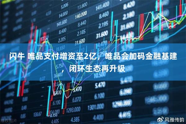 闪牛 唯品支付增资至2亿，唯品会加码金融基建，闭环生态再升级