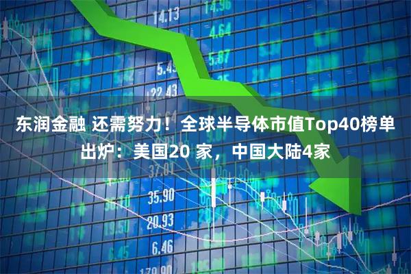 东润金融 还需努力！全球半导体市值Top40榜单出炉：美国20 家，中国大陆4家